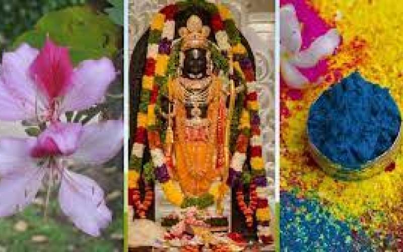 Shri Ram Lalla will play Holi with gulal made from Kachnar flowers, Ayodhya, NBRI Director Dr. Ajit Kumar Shashani, Herbal gulal is also prepared from the flowers offered at Gorakhnath Temple, Gorakhpur, Khabargali.