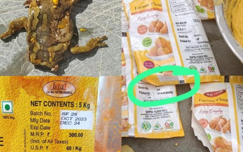 Eklavya Residential School Ramanujganj, dead frog, pickle box found in mid day meal, Chhattisgarh, Khabargali