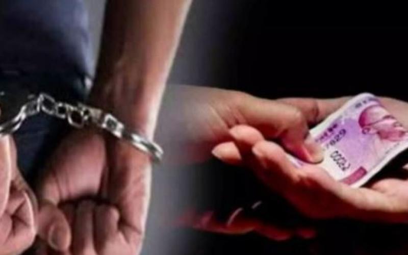   Two bribe taking Patwaris caught red handed, demanded money from the farmer for improving the documents...  latestnews hindinews bignews khabargali   