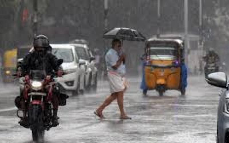 There will be heavy rain in many districts of the state even today, Meteorological Department has issued an alert...  latest news  hindi news bignews khabargali 
