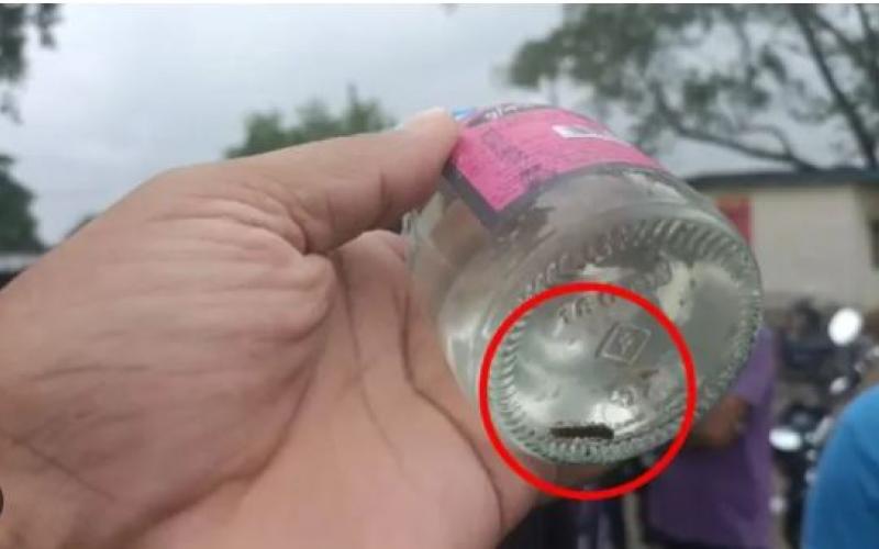   Insect found in liquor bottle, huge uproar, people continue selling adulterated liquor with insects in it  korba news bignews hindinews latestnews khabargali 