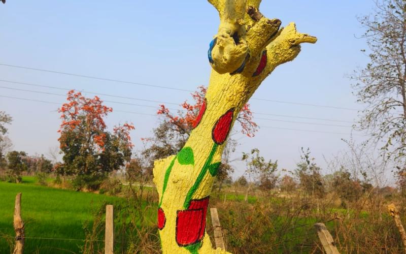 If painting is done on tree trunks, action will be taken against the culprits; Government issued orders, Nitin Singhvi, Raipur, Chhattisgarh, Khabargali,