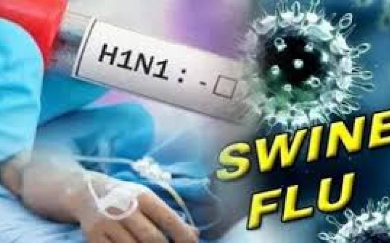 Swaine flu: Swine flu patients active in Raipur, Bilaspur and Rajnandgaon, six people died in 15 days.  raipurnews  cg news hindinews chhattisgarh news  khabargali 