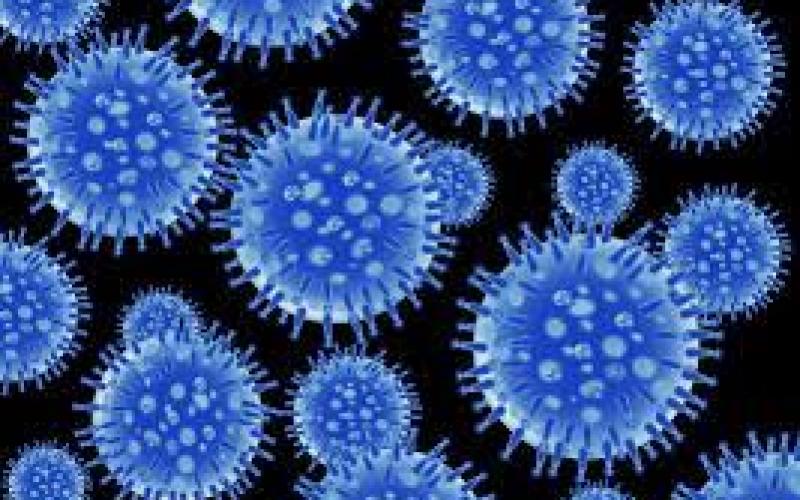 Swine flu continues to wreak havoc in the state, 6 people died in 15 days...  cg news latestnews khabargali 