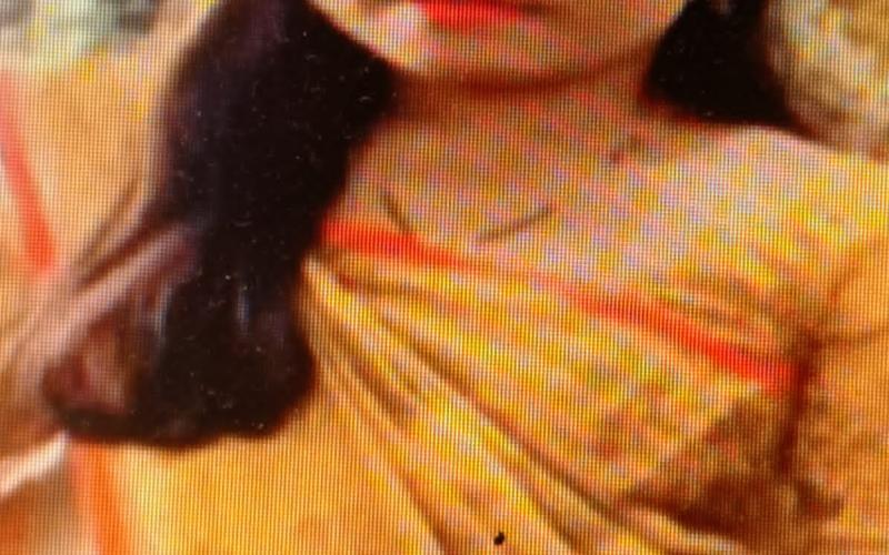 A young woman dies under suspicious circumstances in Raipur, Khabargali