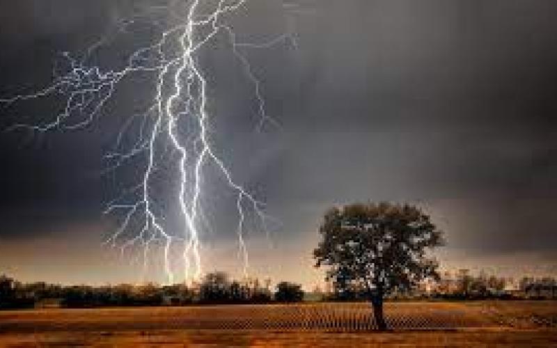 7 killed due to lightning, CM expressed grief... cg news latestnews chhattisgarh news cg bignews khabargali 