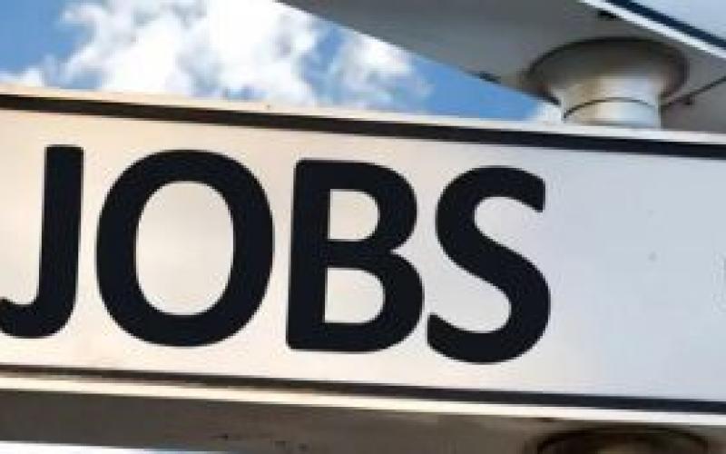 इन विभागों में 511 पदों पर भर्ती शुरू, वित्त विभाग ने दी मंजूरी  Recruitment started on 511 posts in these departments, Finance Department approved cg news hindi news cg big news hindi news khabargali 
