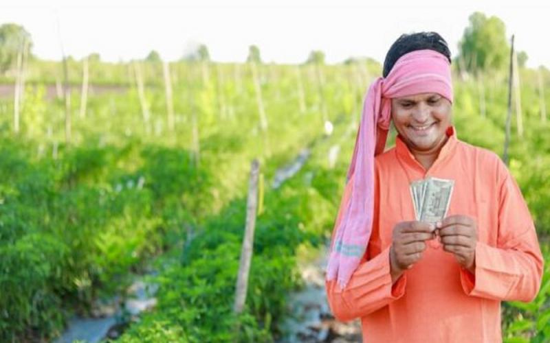 दिवाली से पहले किसानों की मौज, 18.66 करोड़ रुपए खाते में हुए ट्रांसफर  Farmers' fun before Diwali, Rs 18.66 crore transferred into their accounts cg diwali 2024 cg hindi news cg big news khabargali 