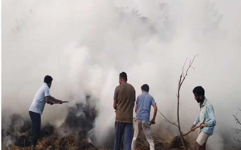बच्चों ने पैरावट में लगाई आग, 7 साल के मासूम की जिंदा जलकर मौत खबरगली Children set fire to paravat, 7 year old innocent child burnt alive to death cg news hindi news cg big news latest news chhattisgarh news khabargali 