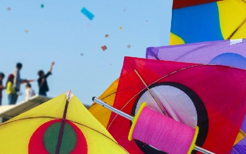 Kite Carnival 2025 organised by Suhini Soch on the occasion of Makar Sankranti, Raipur, Chhattisgarh, KhabarGali