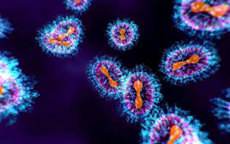चीन के नए वायरस HMPV की भारत में एंट्री, बेंगलुरु में मिले दो केस खबरगली  China's new virus HMPV enters India, two cases found in Bengaluru  hindi news big news  health news latest news khabargali 