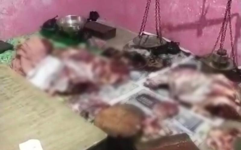 रायपुर के मोमिन पारा में गौ मांस बरामद, एक आरोपी हिरासत में खबरगली  Cow meat recovered from Momin Para in Raipur, one accused in custody  cg news cg big news latest news Khabargali  cg ne