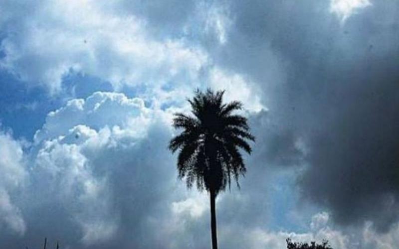 Chhattisgarh to experience cloud cover for next 7 days, temperature to reach 24 degrees hindi News latest news khabargli 