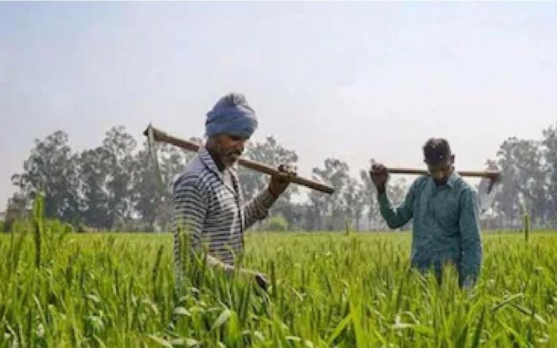 Big change in Pradhan Mantri Kisan Samman Nidhi Yojana, now families registered on the same land in Chhattisgarh will get separate benefits of Rs 6000.cg hindi News latest news khabargali 