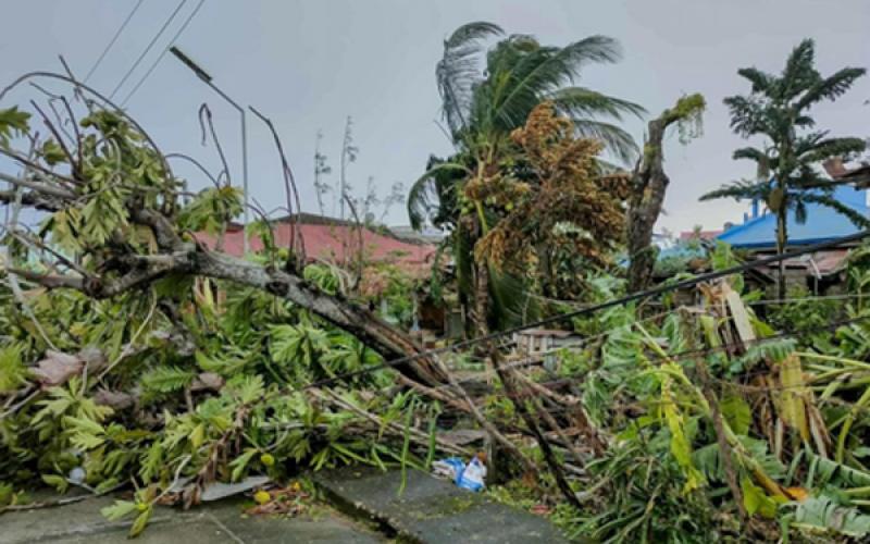 Typhoon wreaks havoc in Vietnam, death toll rises to 11; 33 injured and 13 missing Hindi news big News latest news khabargali 