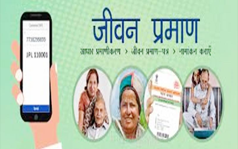 A big gift for Chhattisgarh pensioners, they can now make life certificates from home. Cg hindi News latest News khabargali