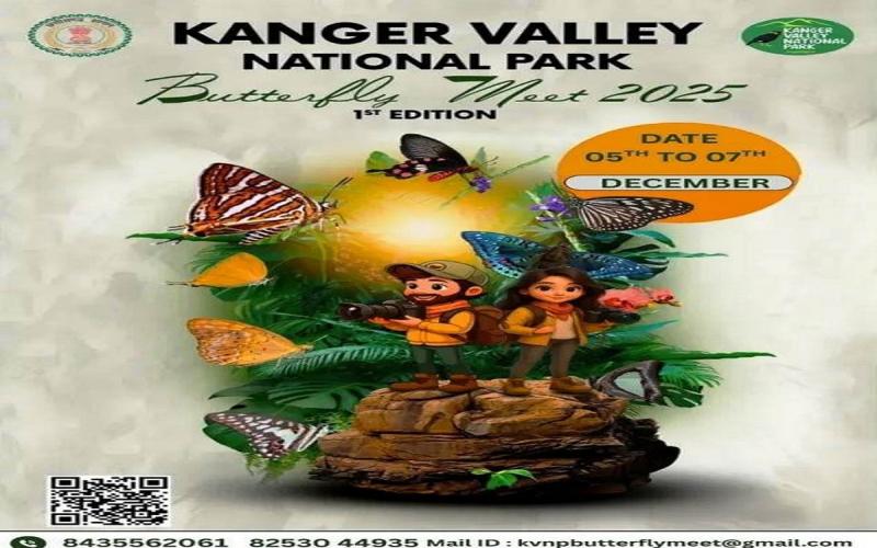  पुणे-बेंगलूरु हाईवे में दर्दनाक हैड्स, बेकाबू ट्रक कई वाहनों से भिड़ा, 7 जलकर मरे खबरगली Tragic accident on Pune-Bengaluru highway, out-of-control truck collides with several vehicles, 7 burnt to deathhindi news big news khabargali 