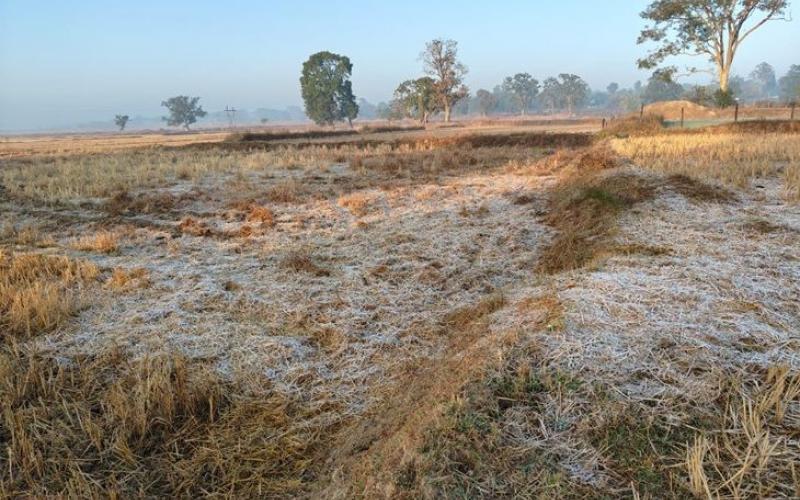छत्तीसगढ़ में ठंड का कहर जारी, सबसे ज़्यादा शीतलहर की चपेट में अंबिकापुर खबरगली Cold wave continues to wreak havoc in Chhattisgarh, Ambikapur worst affected Raipur chhattisgarh hindi news khabargali 