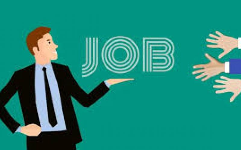 Unemployed youth have a golden opportunity to get a job, placement camps will be organised in these districts today.