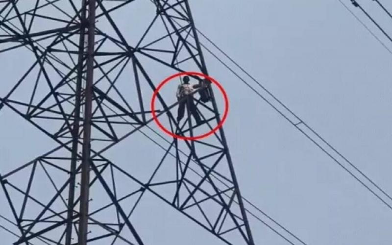  A villager climbed a high-tension electricity tower and accused the company of land grabbing. Raipur chhattisgarh hindi news khabargali 