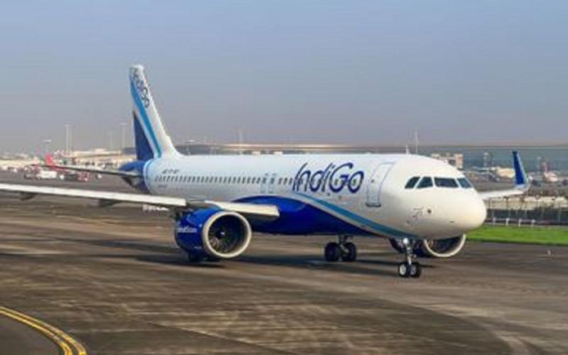 New flights to Mumbai from May 1, IndiGo releases schedule raipur hindi news raipur News khabargali 