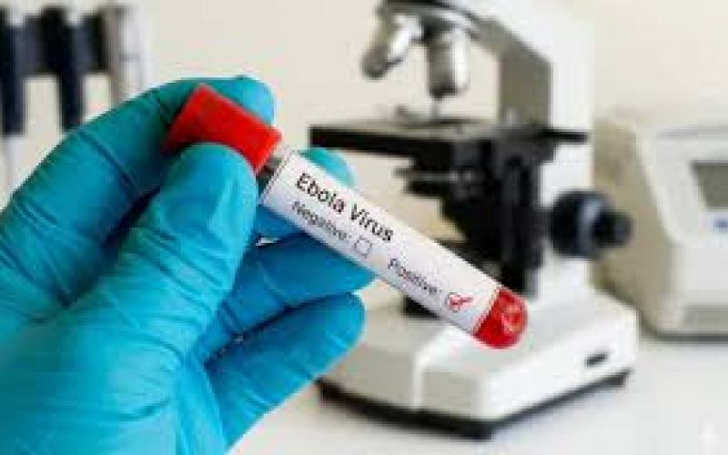  Ebola virus kills 220, DGCA issues new guidelines, Chhattisgarh on high alert new delhi hindi news khabargali 