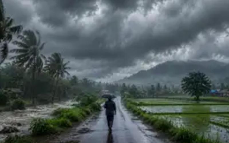 Monsoon arrives in Chhattisgarh; heavy rain and storms bring relief from the heat; Meteorological Department issues a warning. Latest News raipur news khabargali 