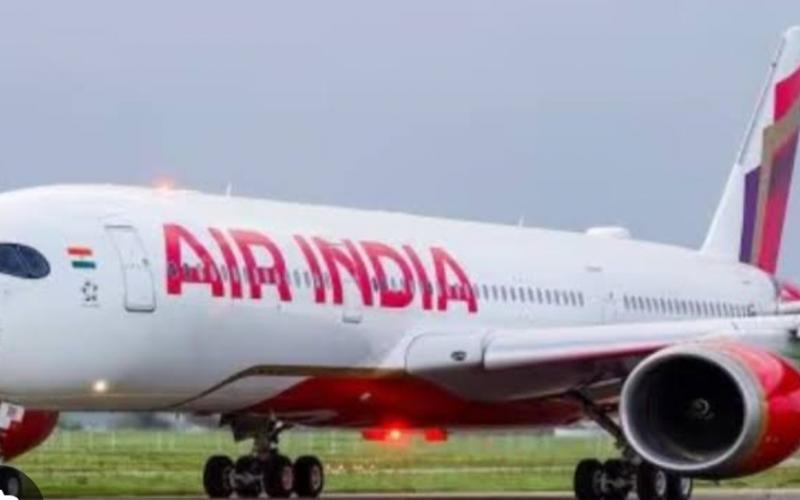 Air India flight strayed into Pakistani airspace; incident caused by a technical glitch. Hindi news latest Hindi khabargali 