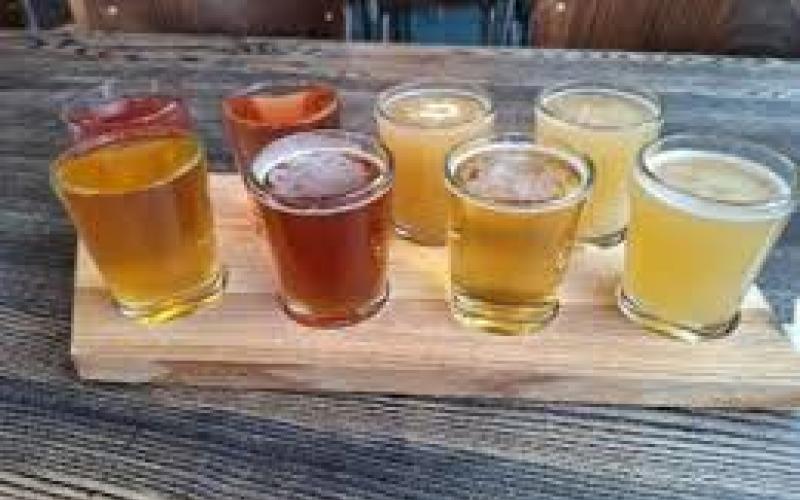 Fresh craft beer to be available in Chhattisgarh; government grants approval, opening up opportunities for investment and employment. raipur chhattisgarh hindi news khabargali 
