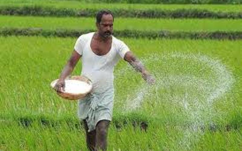 Major relief for farmers: Officials must now provide irrigation facilities within 7 days. big news raipur khabargali 