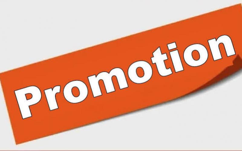  Promotion of 20 veterinarians in the Animal Husbandry Department; government issues order. raipur Chhattisgarh hindi news khabrgali 