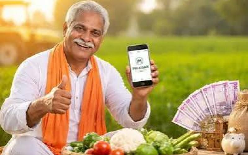  Major relief for farmers: Deadline for crop insurance extended to August 14 raipur cg news khabargali 