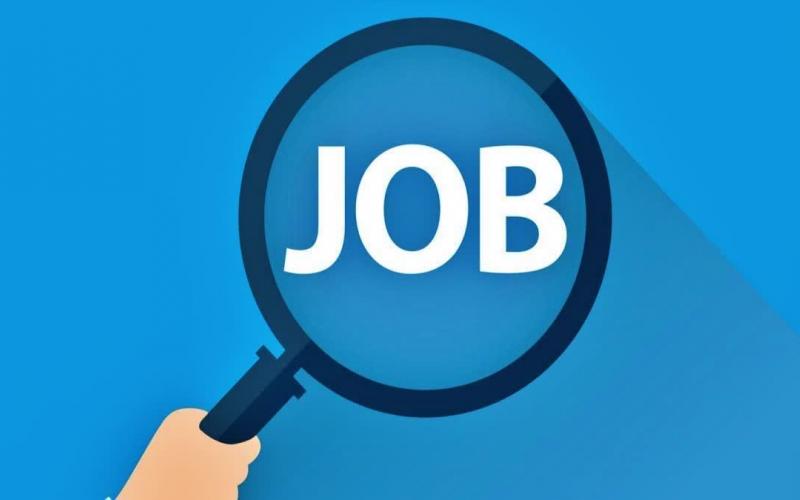Placement camp to be held on September 16 on-the-spot jobs available for these positions Latest news hindi news big News khabargali 