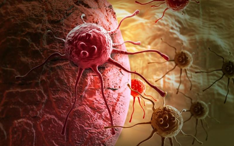 Chhattisgarh's new plan in the fight against cancer: patient database to be created, 5,000-bed 'Medicity' also ready. Latest news hindi news raipur news khabargali 