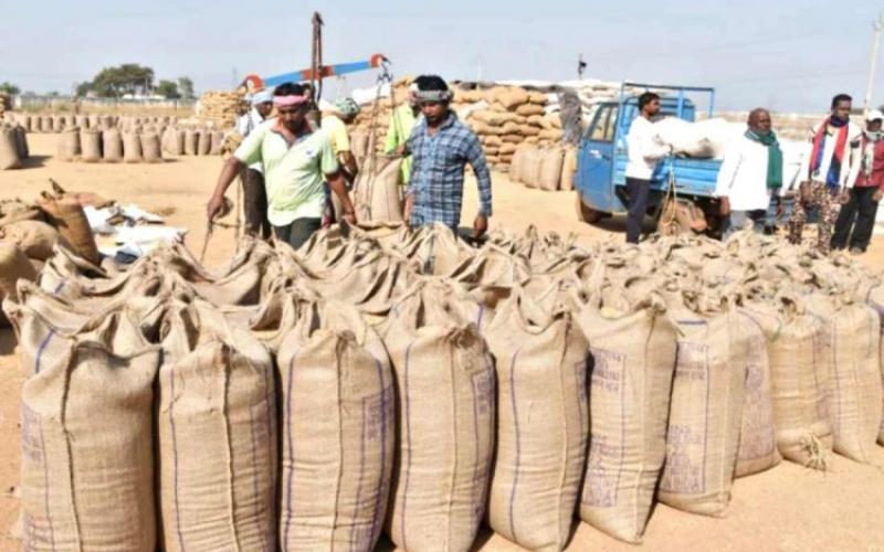 Preparations for paddy procurement in Chhattisgarh intensify 360 new centers to open and arrangements made for 3.64 lakh bales of gunny bags raipur news hindi news latest news khabargali 