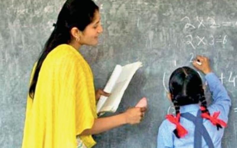 Recruitment for 854 lecturer posts begins; candidates can apply for only one subject. raipur chhattisgarh khabargali 