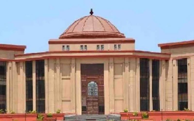  High Court rules 'dark complexion and stout build' are not grounds for divorce; dismisses husband's appeal bilaspur hindi  news khabargali 