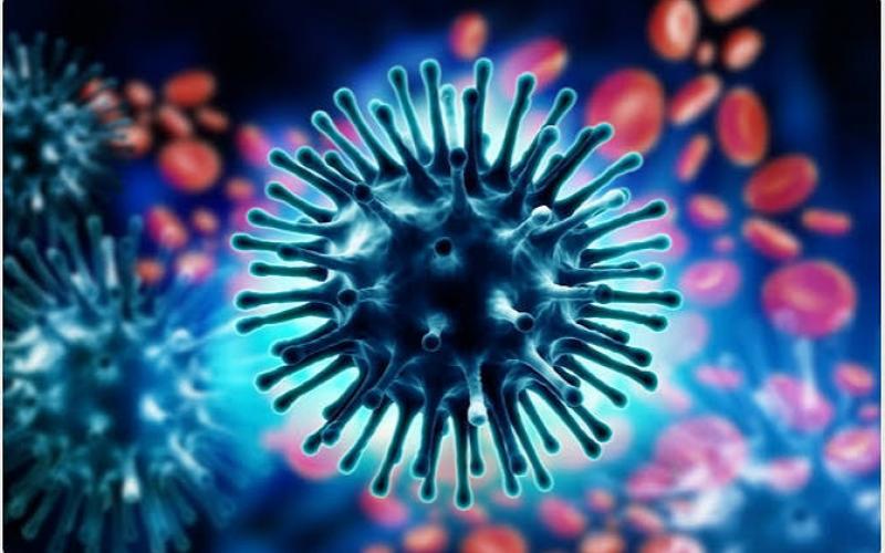 Swine flu raises concern; patient count in Raipur crosses 108. raipur news hindi news khabargali 