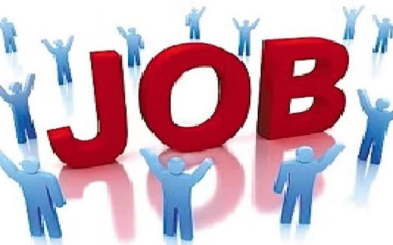 There will be recruitment for 1360 posts in the Cooperative Department, most posts in Raipur-Bilaspur. raipur hindi news khabargali 