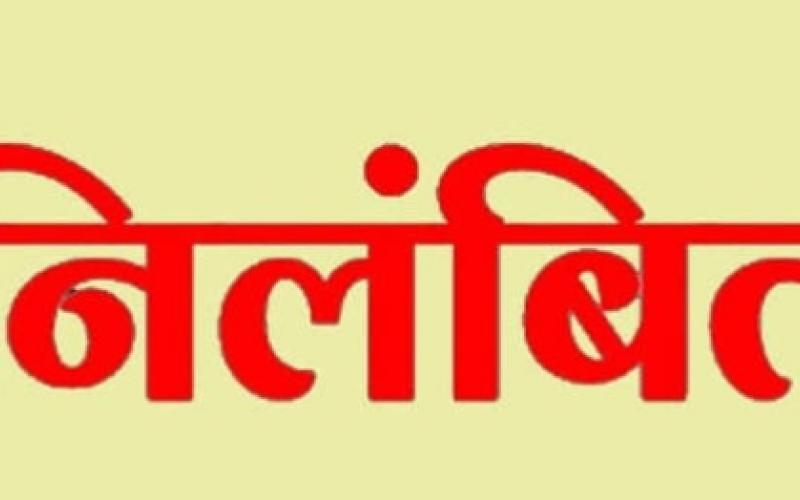 5 Patwaris suspended in Chhattisgarh SDM takes action over negligence in revenue related work Latest news Hindi News khabargali 