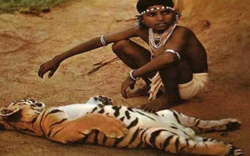 'Chendru' Award announced to boost tourism in Chhattisgarh; Sai government to award ₹1 lakh to the selected winner. Latest news hindi news khabargali 