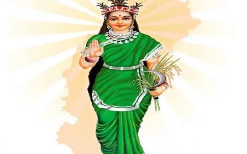 Copyright on the name and symbol of ‘Chhattisgarh Mahtari’; permission required before use. Raipur chhattisarh hindi news khabargali 