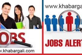 Job alert khabargali