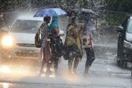 Rainy day raipur chhattisgarh khabargali