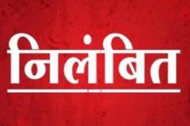 Bhatapara District, Simga Tehsil, Patwari, Komal Chand Kosale, In-charge Naib Tehsildar Ms. Mamta Thakur, Suspended, Chhattisgarh, Khabargali