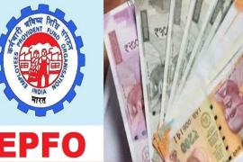 EPFO, Interest, PF, Passbook, Credit, Khabargali