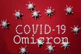 Health Minister T.S.  Singhdev, new variants of corona, omicron, corona vaccination, Khabargali