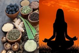 chhattisgarh, ayurveda, yoga, homeopathy, naturopathy, unani medicine bachelor course, apply online, Khabargali