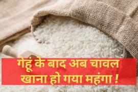 After flour, now rice is also expensive, prices increased by 10 percent, rising inflation, rising wheat price, domestic, global market, Bangladesh, non-basmati rice, import, flood, crop damage, khabargali