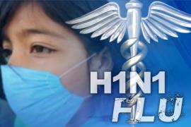 Swine flu knocks in Chhattisgarh, Health Minister T.S.  Singhdev, Monkey-pox, Kovid-19, Seasonal Illness, Khabargali